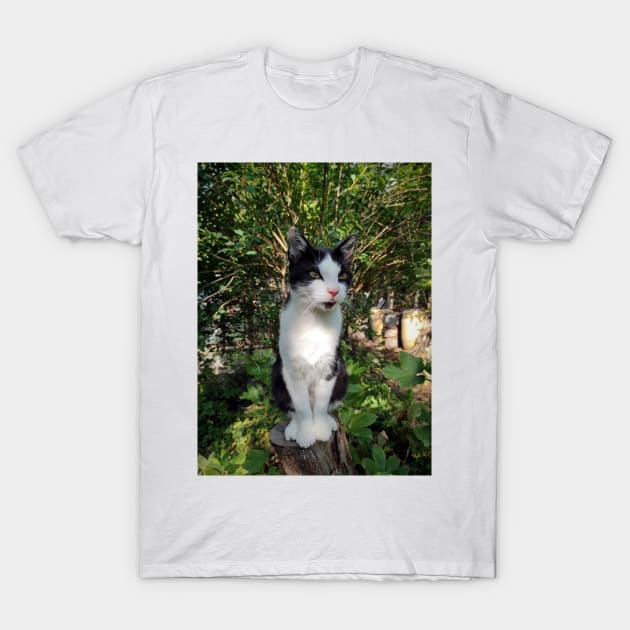 Robby the cat T-Shirt by Gourmetkater